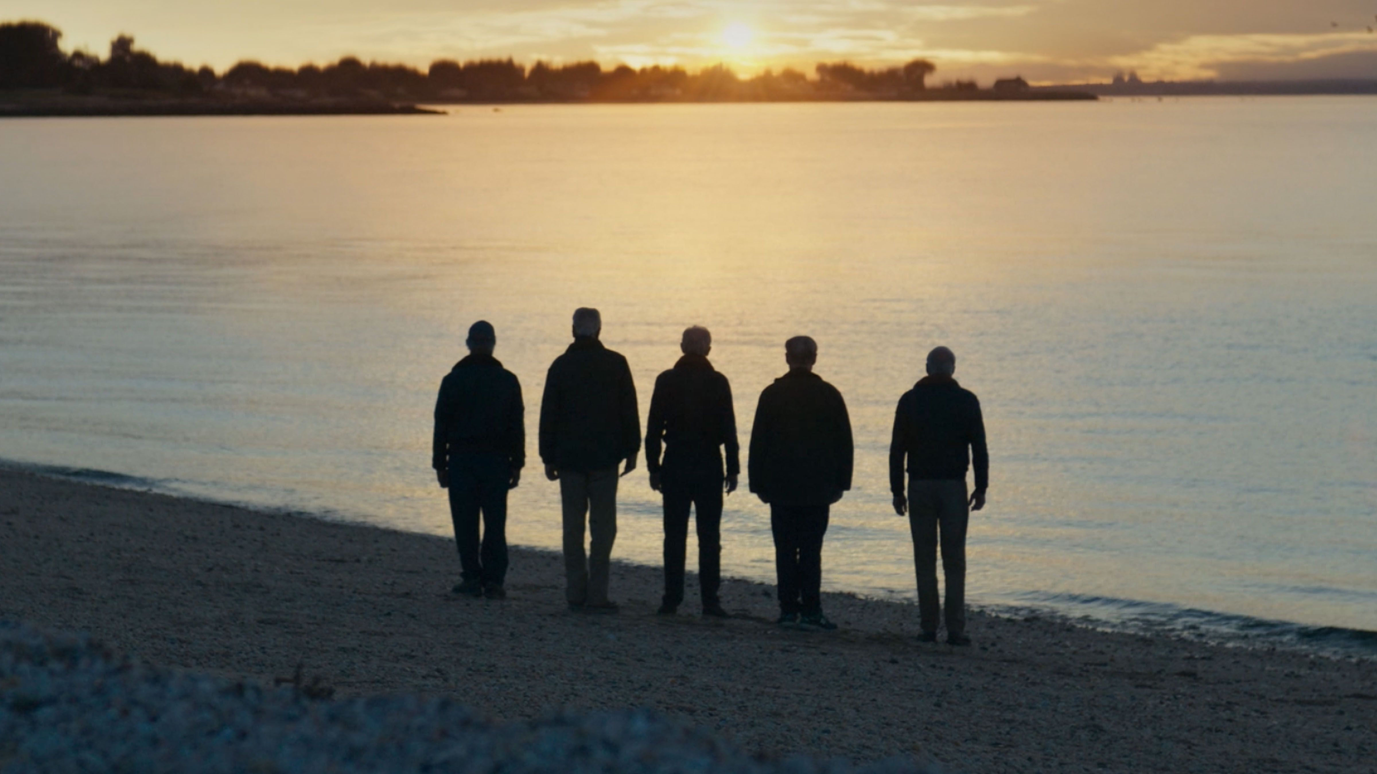 Five male army veterans, backs to the camera, looking out over a body of water while the sun sets.